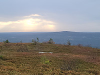 johanne_20240908_66ddda93042af.jpg