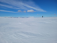 johanne_20250414_67fd36cb990a9.jpg