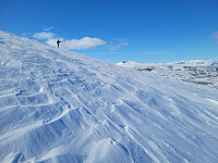 johanne_20250414_67fd36cd006bb.jpg