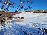 johanne_20250414_67fd36cde1d92.jpg
