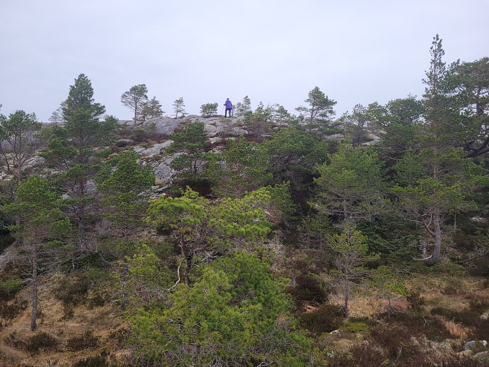 Toppunktet til Seterlifjellet