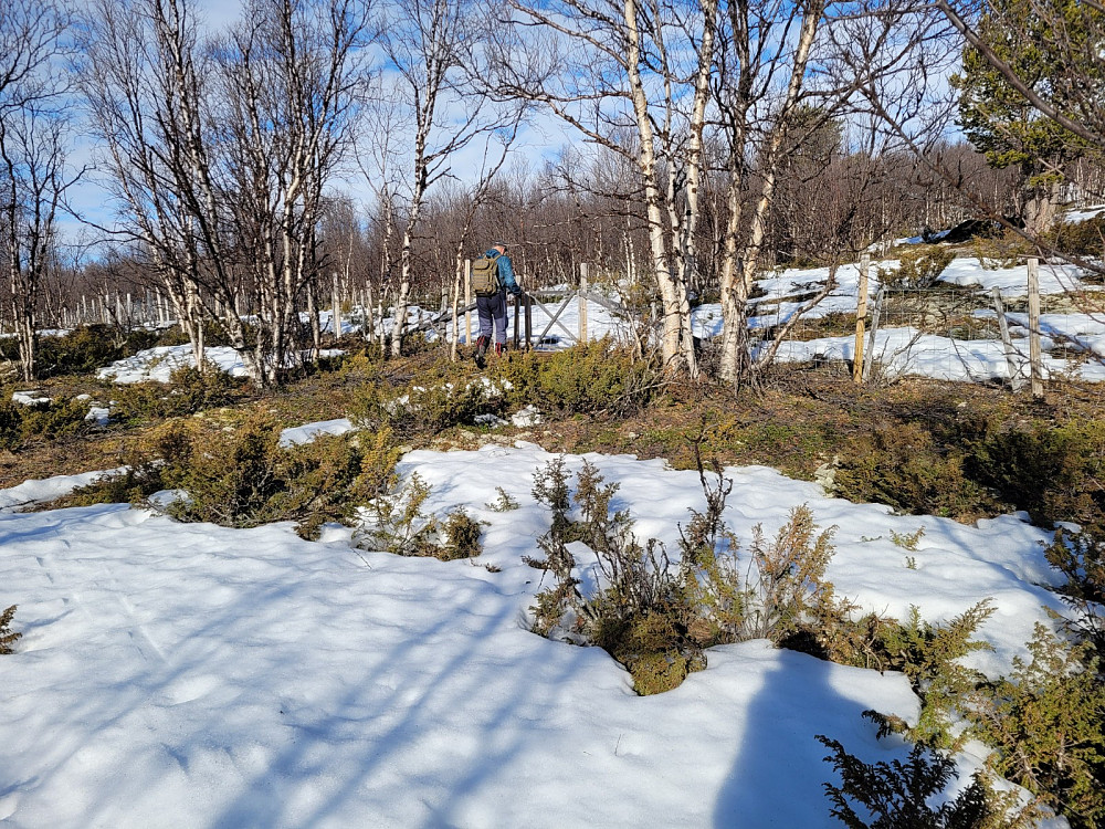 Vi er spente på hvordan det blir å ta seg opp skogen.