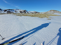 johanne_20250420_6805343d23ab8.jpg