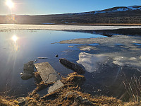 johanne_20250420_6805343e002a4.jpg