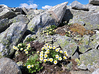 johanne_20250716_6877d4cf0f206.jpg