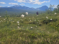 johanne_20250716_6877d4d014054.jpg