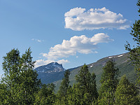 johanne_20250716_6877d4d09183f.jpg