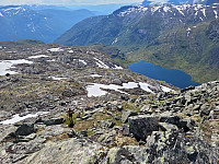 johanne_20250718_687a77178b627.jpg