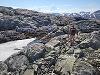 johanne_20250718_687a7718157cd.jpg