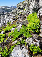 johanne_20250718_687a77188882b.jpg