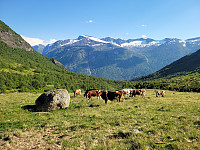 johanne_20250718_687a771a17a61.jpg