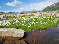 johanne_20250719_687be4f7c668a.jpg