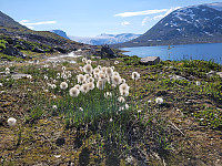 johanne_20250719_687be4f84c51e.jpg