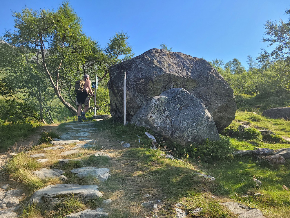 Vi er i ferd med å komme opp av skogen. Så langt; veldig lettgått sti