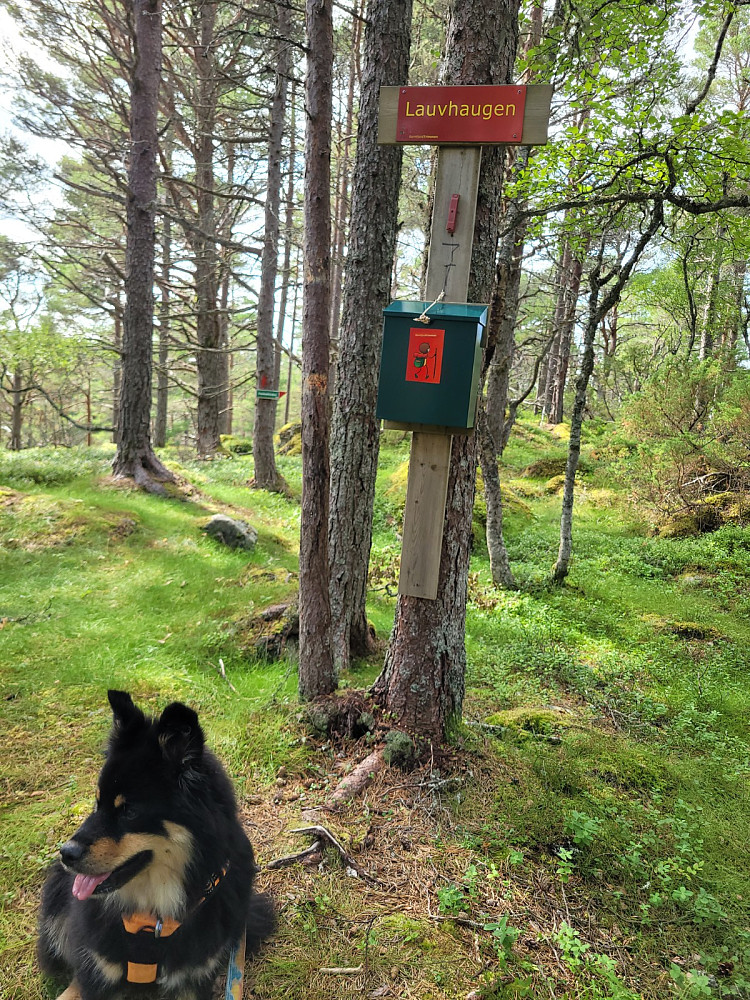 Delmål Lauvhaugen