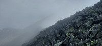 ArilT_20250727_6885f455c0007.jpg