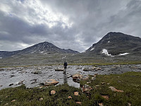 ArilT_20250727_6885f45c40a8a.jpg