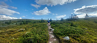 ArilT_20250727_688649b25c769.jpg
