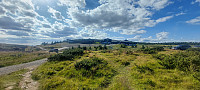 ArilT_20250727_688649b69e9c4.jpg