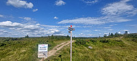ArilT_20250727_688649b8acea1.jpg