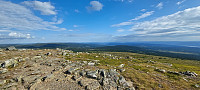 ArilT_20250727_68864a88817a2.jpg
