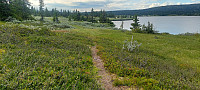 ArilT_20250727_68864b6f77e50.jpg
