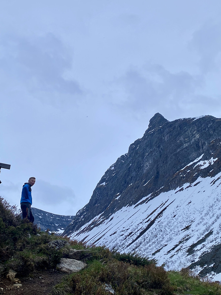 Tormod med Grindalsnibba i bakgrunnen