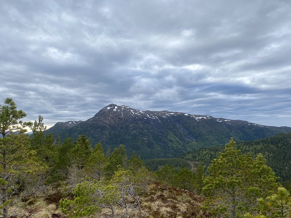 Utsikt fra Hysåsen, mot Freikollen