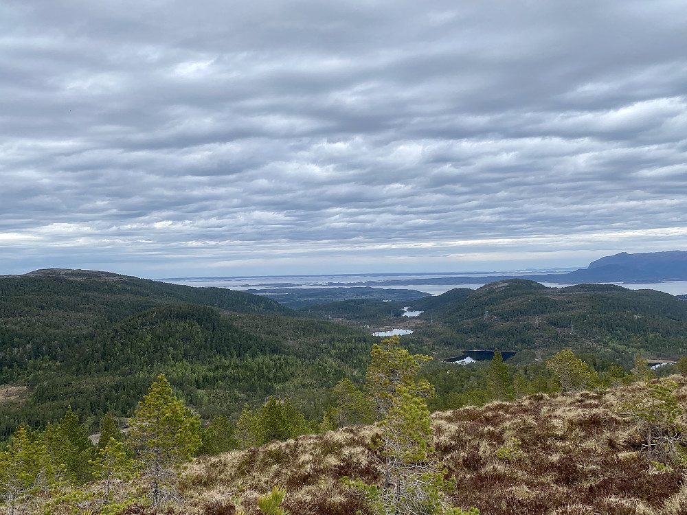Fra Hysåsen, retning nordøst