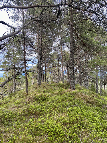 Brattåsen