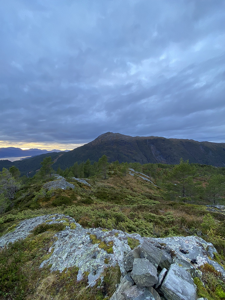 Fra Kistfjellet