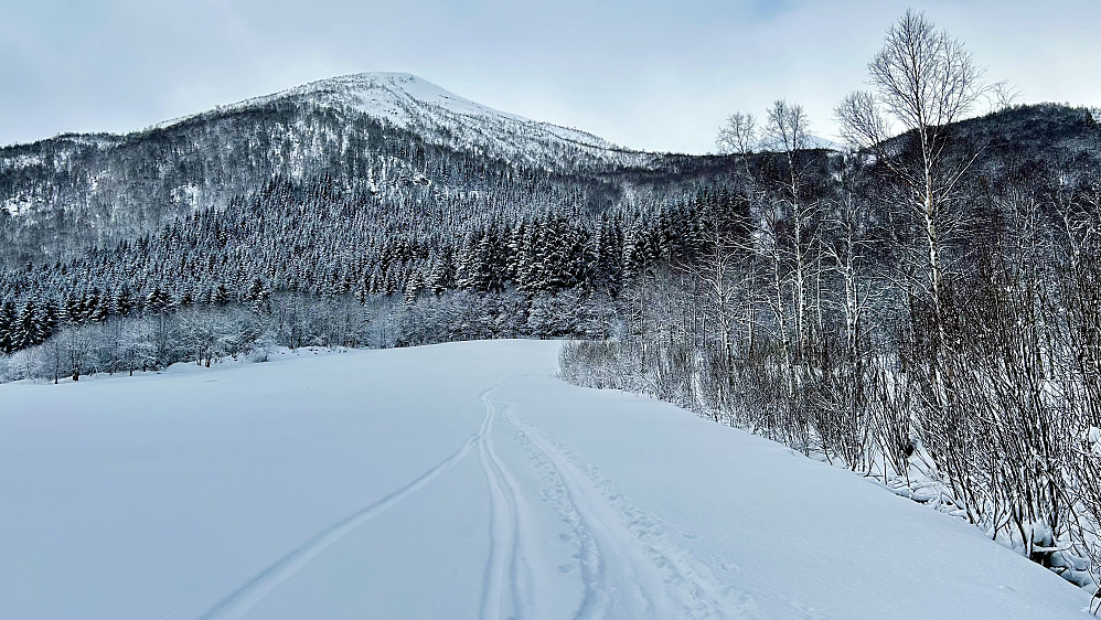 Full vinter i Åndalen