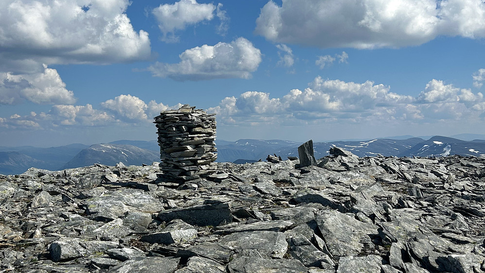 Storsomrungnebba