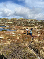 Flugis_20240928_66f8133b18a86.jpg