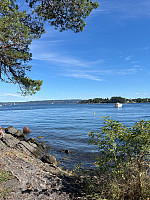 Flugis_20250816_68a099a68357e.jpg