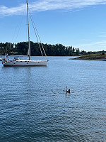 Flugis_20250816_68a099a70ca6f.jpg