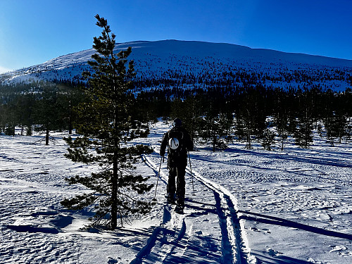 Mot Slettefjell