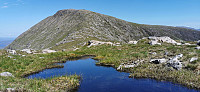 Chris_20240601_665b5cc08b53f.jpg