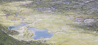 Chris_20240615_666daabaeeecb.jpg
