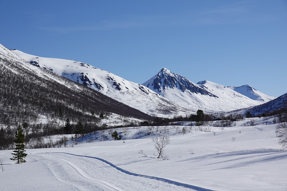 Innover Ljøsådalen. Her var det gamle harde oppkjørte skispor som forble ubrukt. Perfekt å gå på skaren ved siden av løypa. 