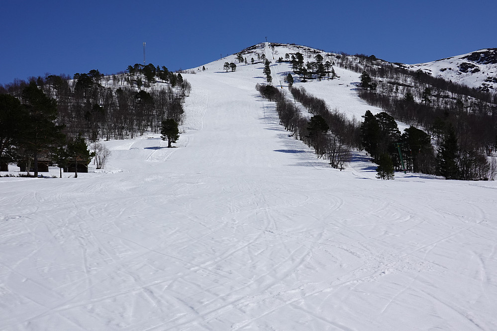 Avslutta turen med å renne ned alpinbakken i Skorgedalen, helt mutters alene her.