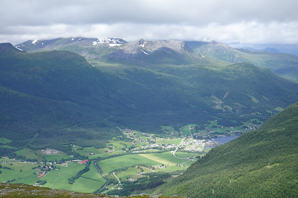 Fra Vardfjellet ned mot Tresfjorden.