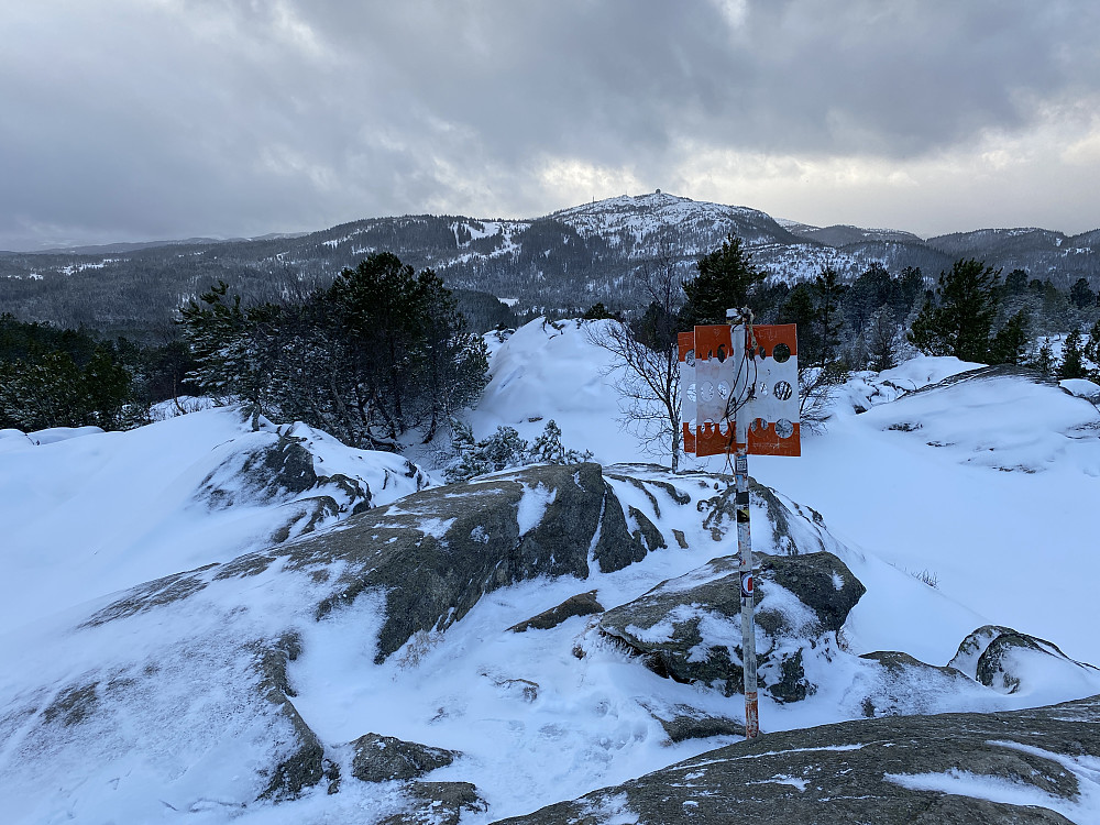 På Geitfjellet i frisk vind.