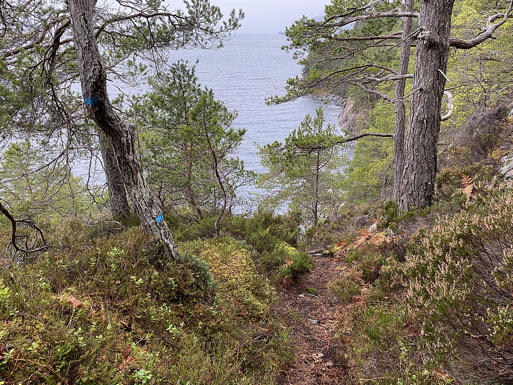 Blåløypa på Julneset