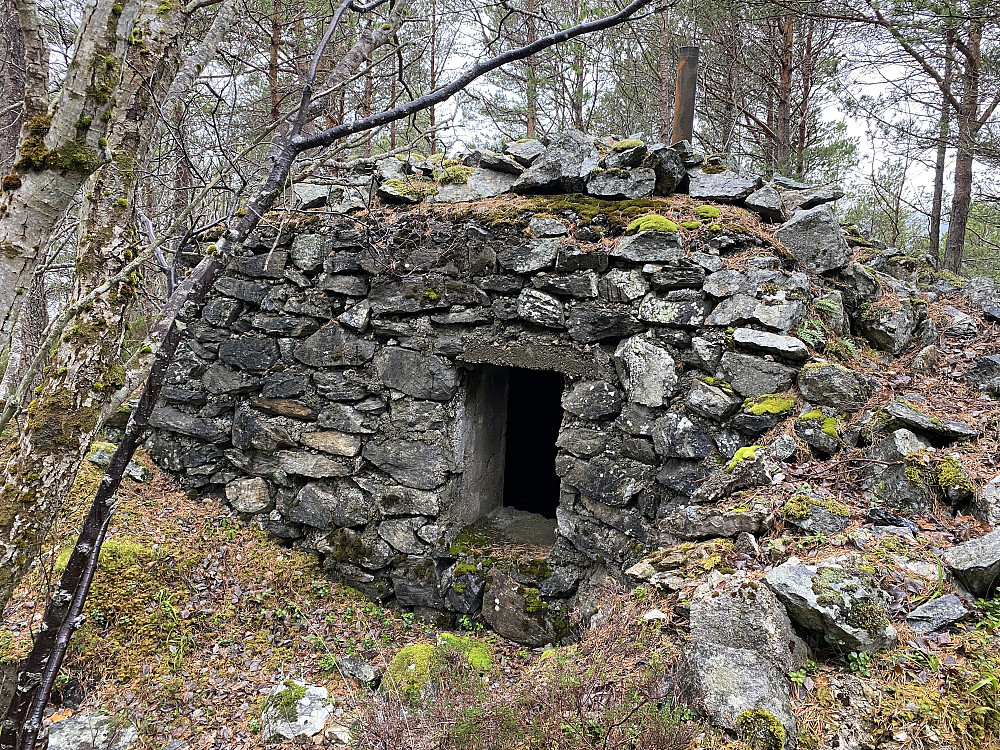 Typisk Julneset-motiv.