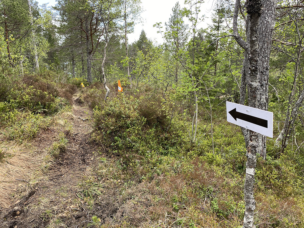 Merking av Molde7Topper i gang