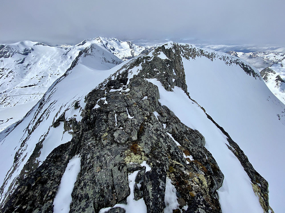 Litt randosko på ryggen bortover mot Stigbotthornet. Skia på sekk.