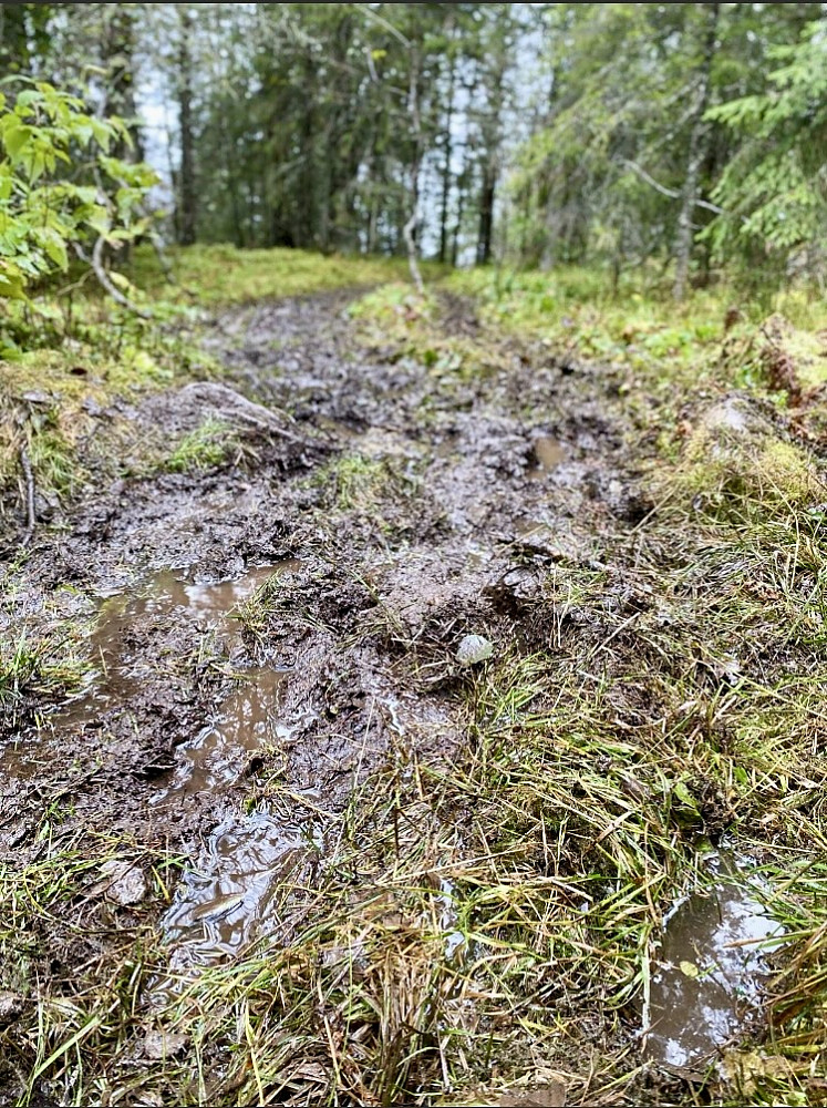 Relativt gjørmete undervegs II