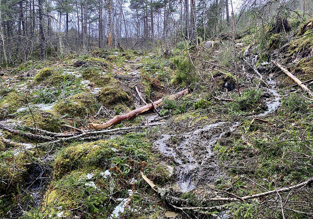 Stien har "forsvunnet".