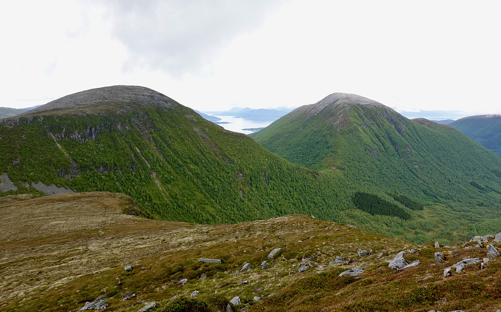 Oterfjellet og Storhaugen i Vestnes er "heldigvis" besøkt tidligere.